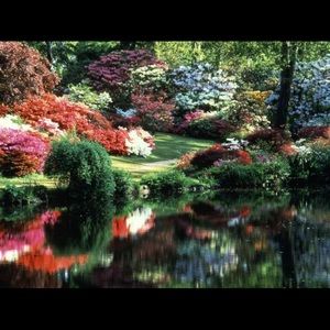 Meet your Posher, Sally